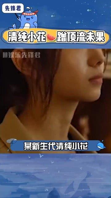 娱乐吃瓜小花完整版,揭秘娱乐圈幕后故事