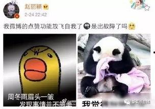 表情包 quot 人呢 quot,“人呢？”表情包背后的社交现象解析