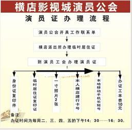 演员的流程,揭秘演员从初试啼声到璀璨登场的成长之路